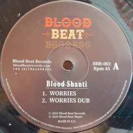 Blood Shanti - Worries / Show I The Way 12"