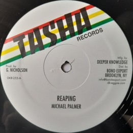 Michael Palmer - Reaping / Frankie Jones - Acting So Strange 12"