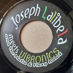Joseph Lalibela - Chant Down Babylon 7"
