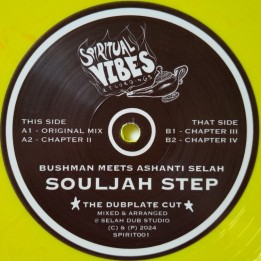 Bushman meets Ashanti Selah - Souljah Step 12"
