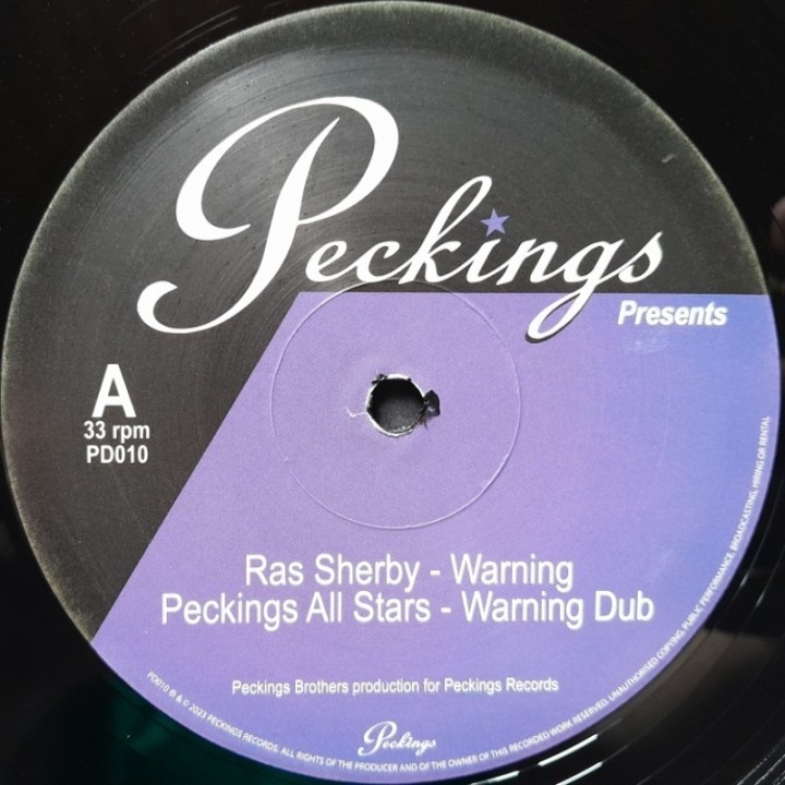 Ras Sherby - Warning 12"