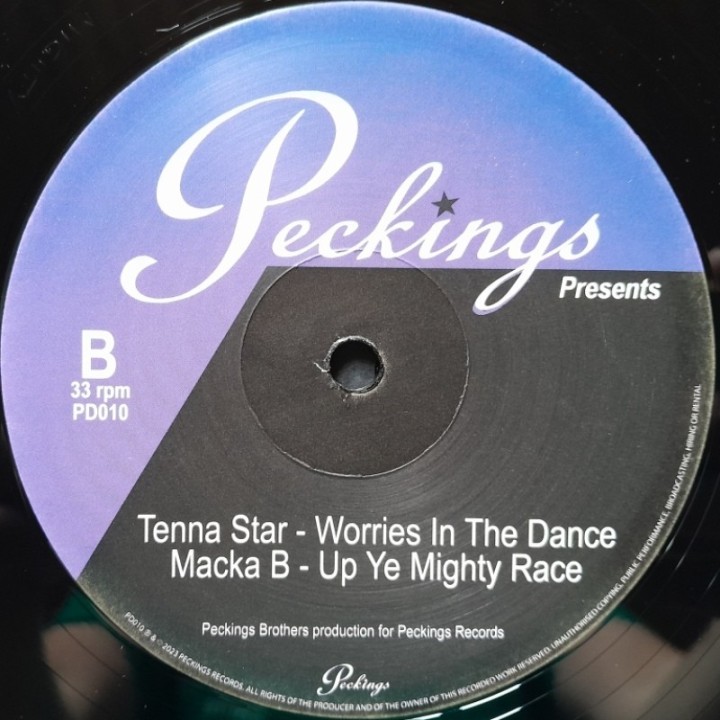 Ras Sherby - Warning 12"