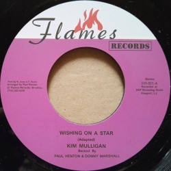 Kim Mulligan - Wishing On A...