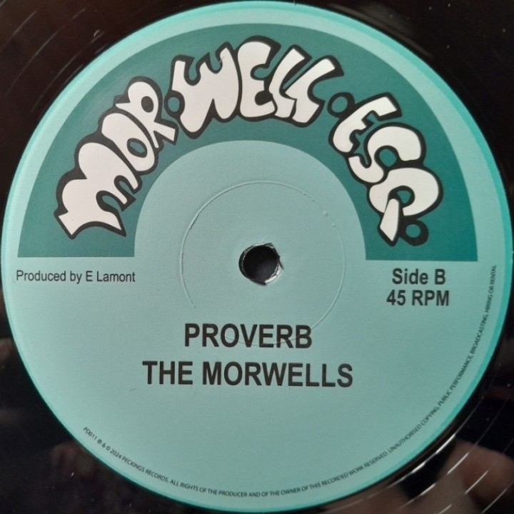 Peter Broggs - Never Forget Jah 12"
