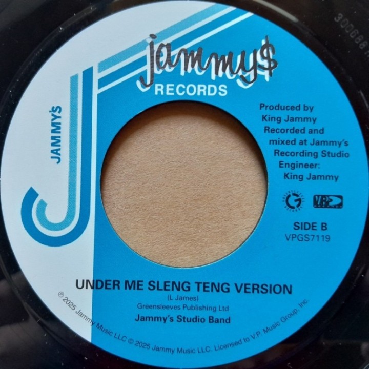 Wayne Smith - Under Me Sleng Teng 7"