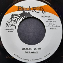 The Gaylads - What A Situation 7"