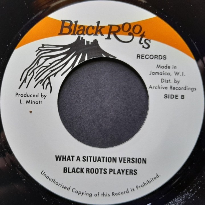 The Gaylads - What A Situation 7"