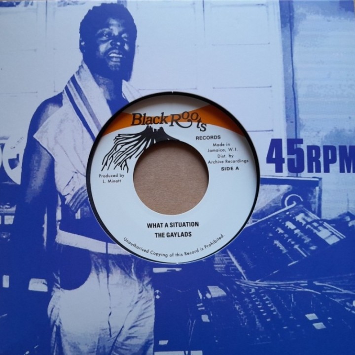 The Gaylads - What A Situation 7"