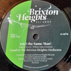 Gaudi & The Brixton Heights Orchestra - Am I The Same Man? 7"