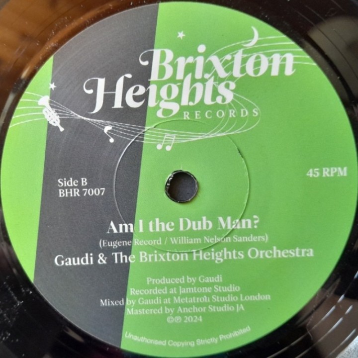 Gaudi-&-The-Brixton-Heights-Orchestra-Am-I-The-Same-Man-7