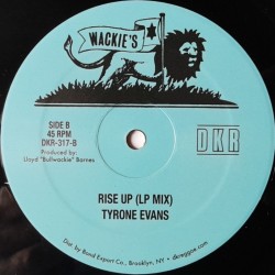 Max Romeo / Tyrone Evans - Rise Up 12"