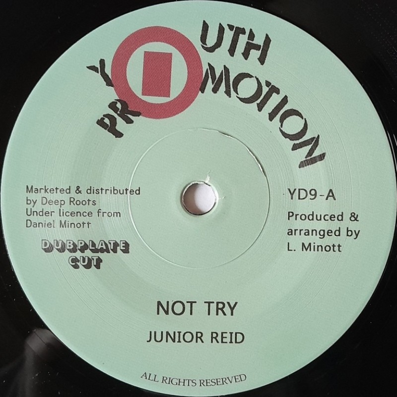 Junior Reid - Not Try 7"