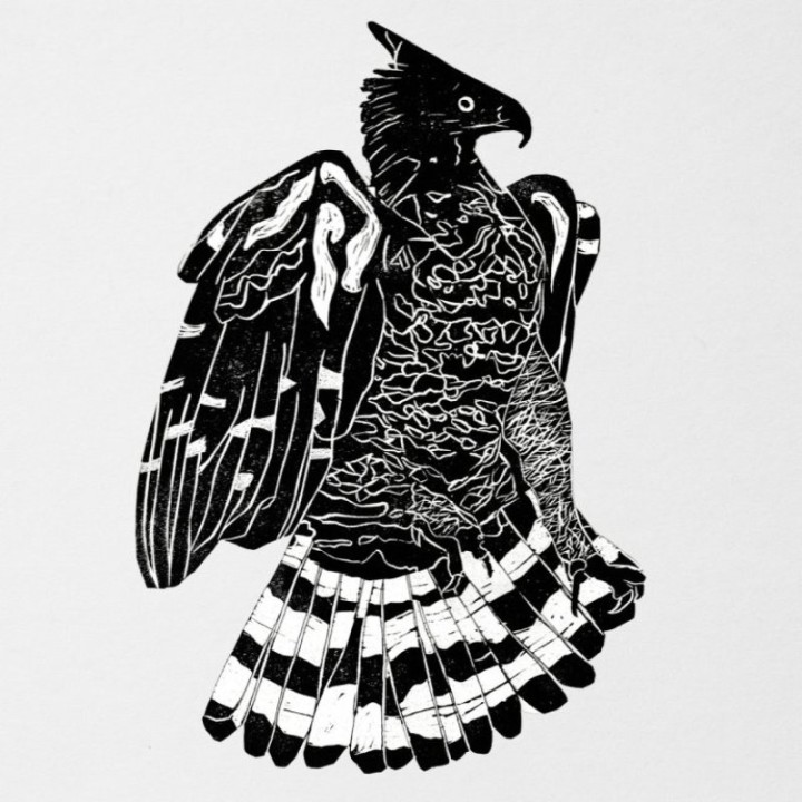 Alpha Steppa & Nai-Jah - Crowned Eagle 2LP