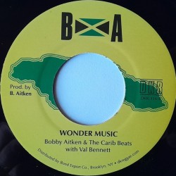 Bobby Aitken - Don't Need You 7"