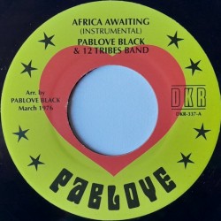 Pablove Black & 12 Tribes Band - Africa Awaiting 7"