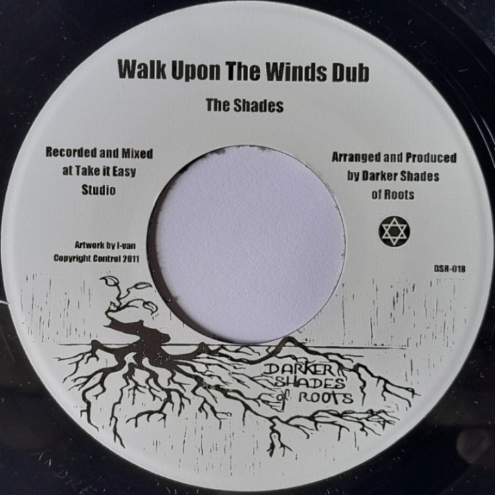 Jah Bast & The Shades - Who Lay The Foundations 7"