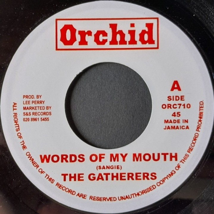 The Gatherers - Words Of My Mouth 7"
