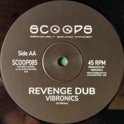 Vibronics ft. Nia Songbird - Travelling / Revenge Dub 10"