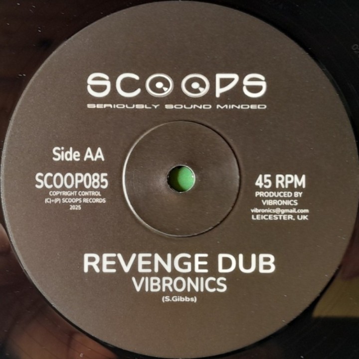 Vibronics ft. Nia Songbird - Travelling / Revenge Dub 10"