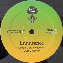 Lyrical Benjie & Sista Omi - Roots and Culture 12"