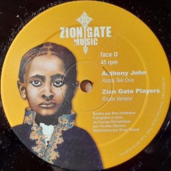 Anthony John - Rasta Tek Ova / Digistep - Haile Selassie 12"