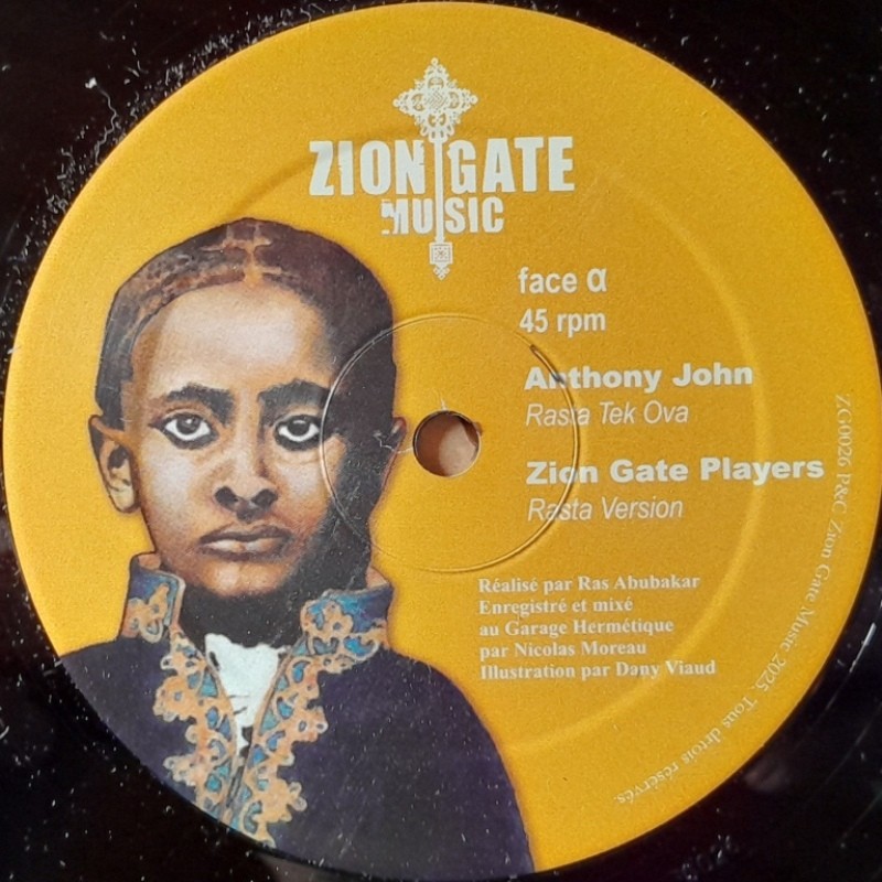 Anthony John - Rasta Tek Ova / Digistep - Haile Selassie 12"