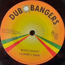 Bush Chemist - I Came I Saw 7"