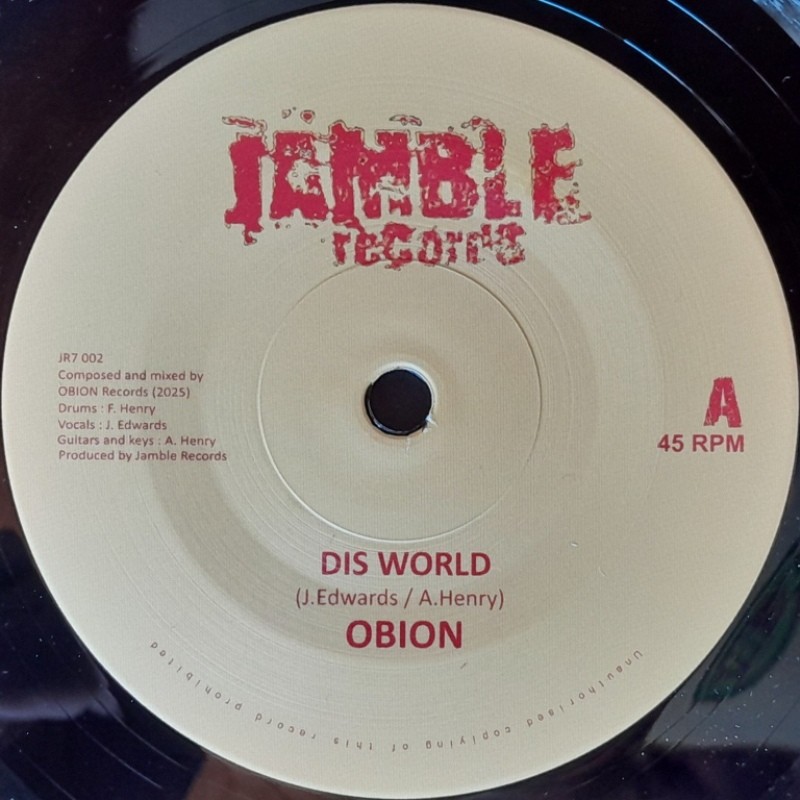 Obion - Dis World 7"
