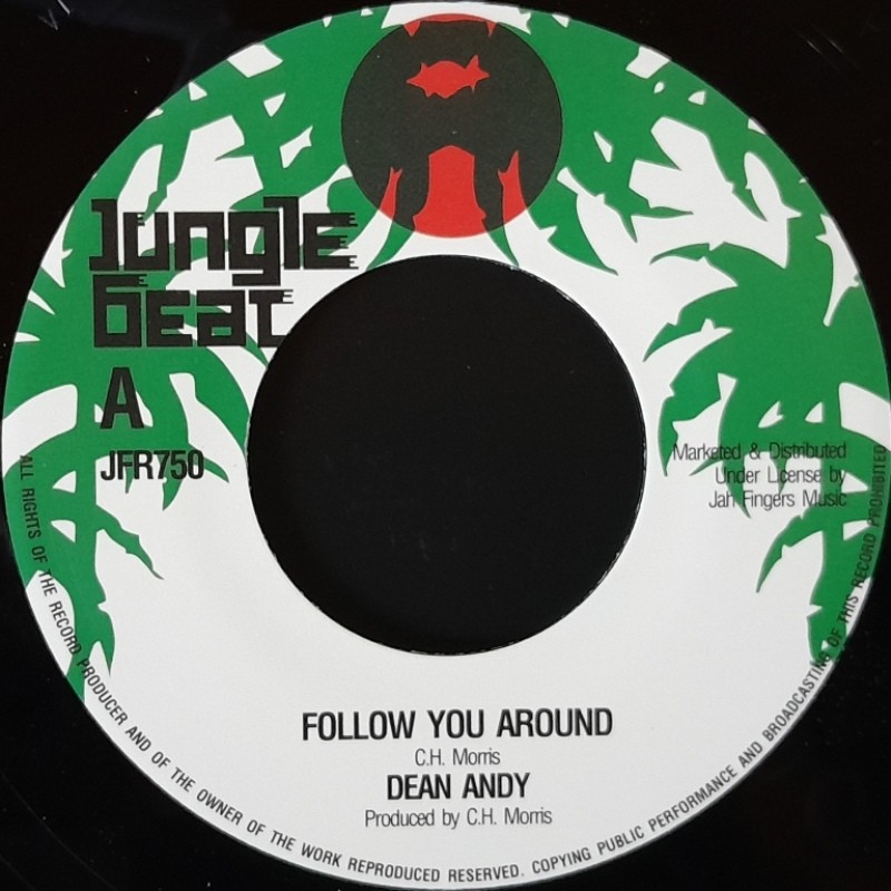 Dean Andy - Follow You Around 7"