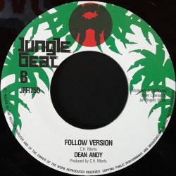 Dean Andy - Follow You Around 7"