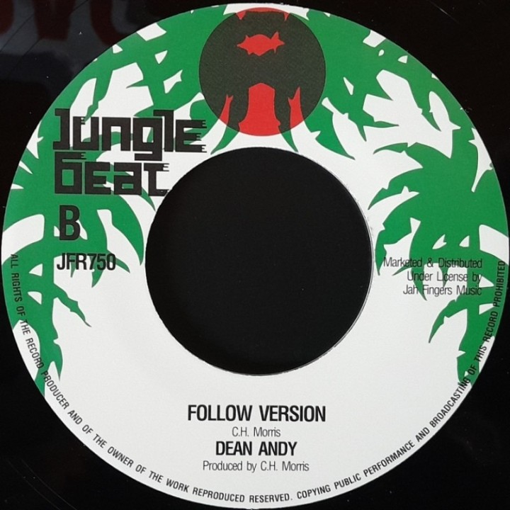 Dean Andy - Follow You Around 7"