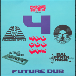 Conscious Sounds - 4 The Hard Way - Future Dub 12"