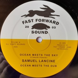 Karbon - Unconquerable 12"