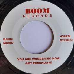 Amy Winehouse - Valerie / You Are Wondering Now 7"