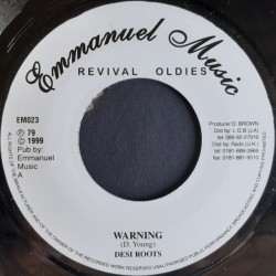 Desi Roots - Warning 7"