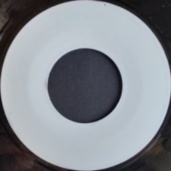 Desi Roots - Warning 7"