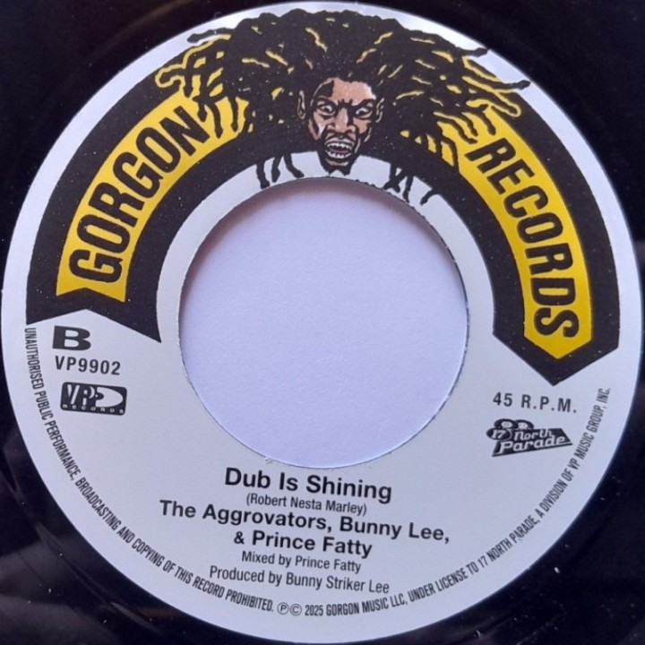 Ronnie Davis - Sun Is Shining 7"