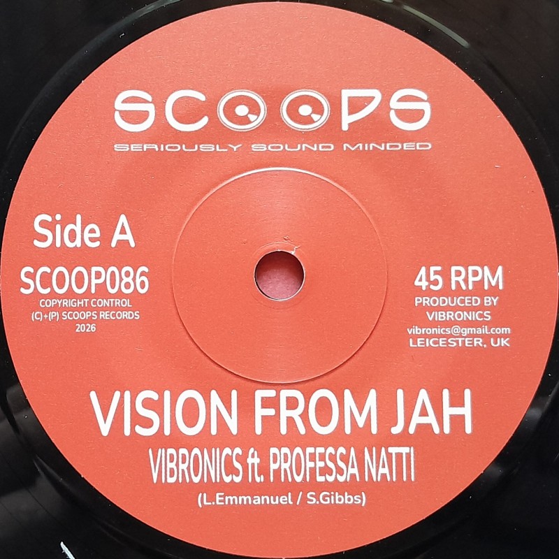 Professa Natty - Vision From Jah 7"