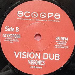 Professa Natty - Vision From Jah 7"