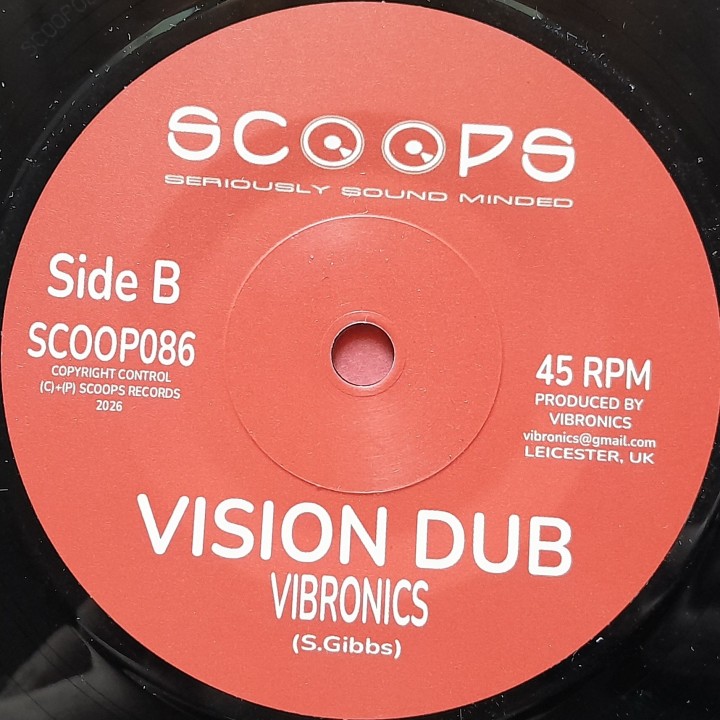 Professa Natty - Vision From Jah 7"