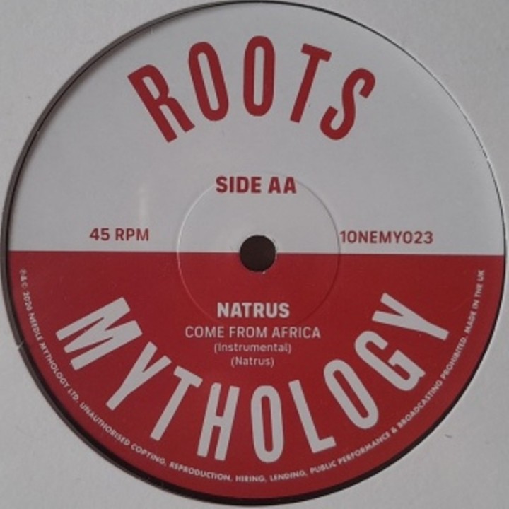 Natrus - Mash It 10"