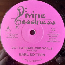 Earl Sixteen - Got To Reach Our Goals 12"