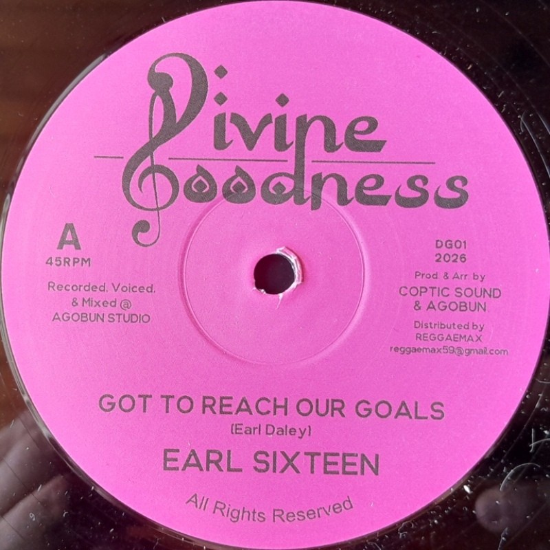 Earl Sixteen - Got To Reach Our Goals 12"