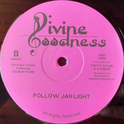 Earl Sixteen - Got To Reach Our Goals 12"