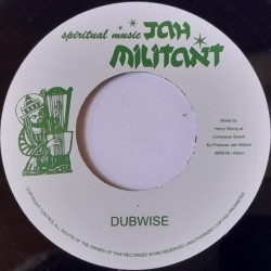 Dougie Conscious meets Henry Skeng - Prophecy 7"