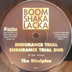 The Disciples - Endurance Trial 10"