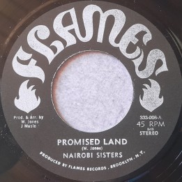 Nairobi Sisters - Promised Land 7"