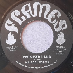 Nairobi Sisters - Promised Land 7"