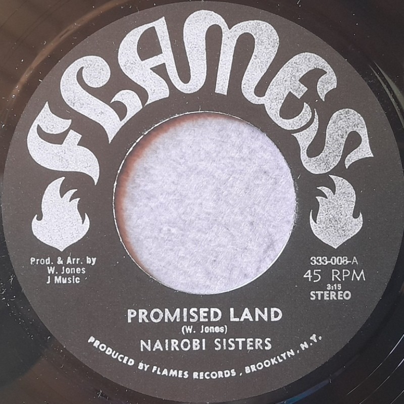 Nairobi Sisters - Promised Land 7"