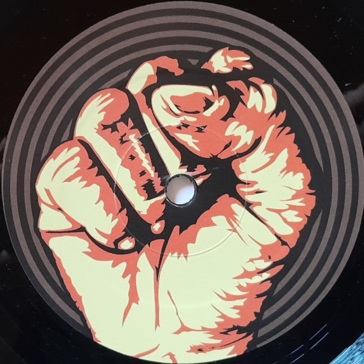 Viceroys - Victory Is A Must 7"